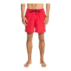 Quiksilver Men's Everyday Swim Boardshorts 17" With Mesh Brief
