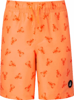 Ripzone Toddler Boys' 2-6 Raith Swim Trunks